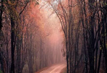 爱游戏体育关于字母哥回归赛场，赛况扑朔迷离首场状态亮眼，美国队观众沸腾！的信息